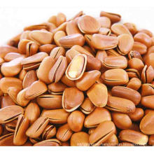 100% Pure Natural Wild Factory Wholesale Chinese Pine Nuts